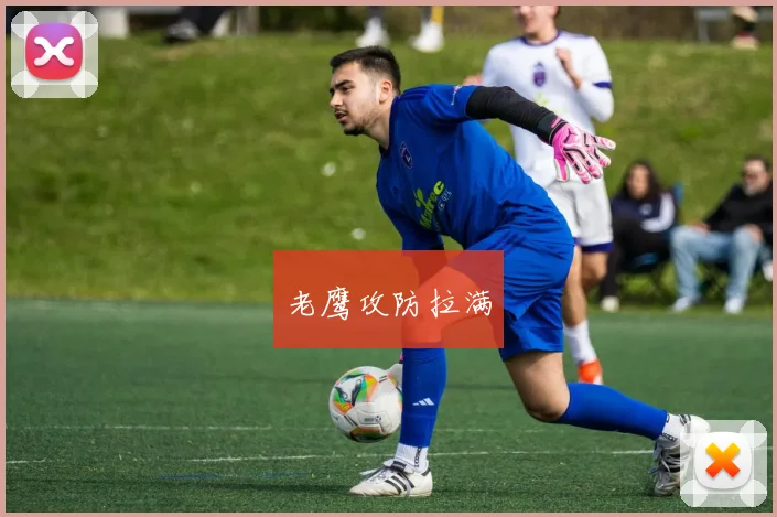老鹰攻防拉满