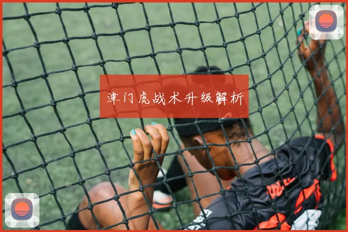 津门虎战术升级解析