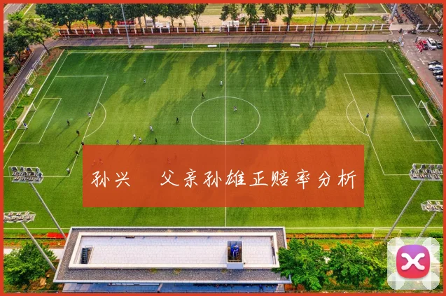 孙兴慜父亲孙雄正赔率分析