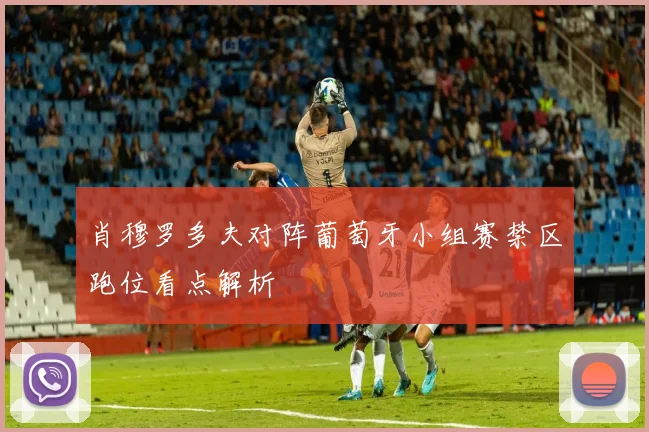 肖穆罗多夫对阵葡萄牙小组赛禁区跑位看点解析