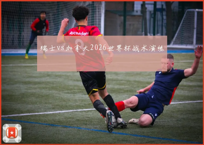 瑞士vs加拿大2026世界杯战术演练