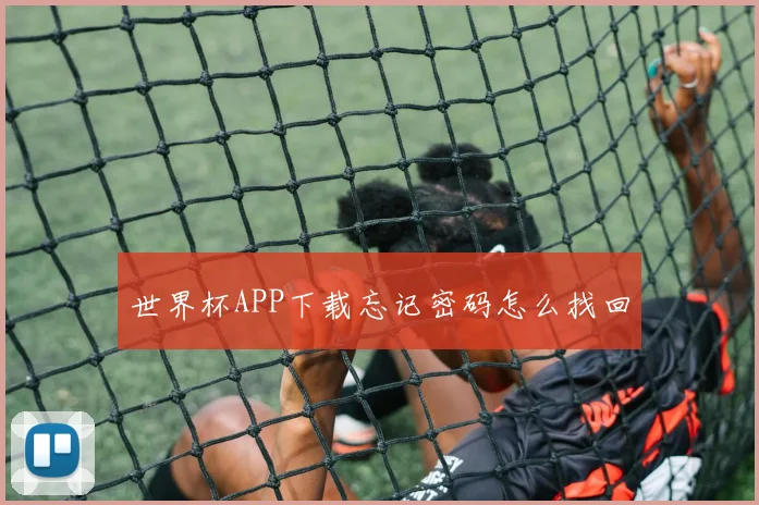 世界杯APP下载忘记密码怎么找回